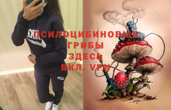 герыч Инта