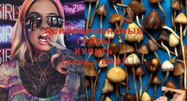 марки lsd Иннополис