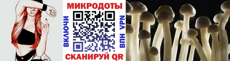Псилоцибиновые грибы MAGIC MUSHROOMS  Купить закладки  Долинск 